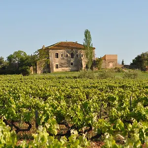 Mas Castell De Gimenelles Hotel